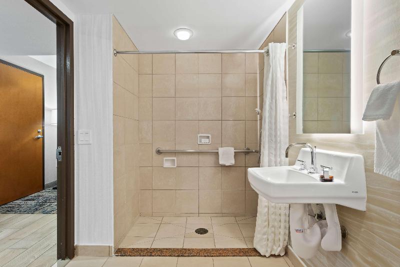 سوئیت با تخت بزرگ, Embassy Suites By Hilton Anaheim South