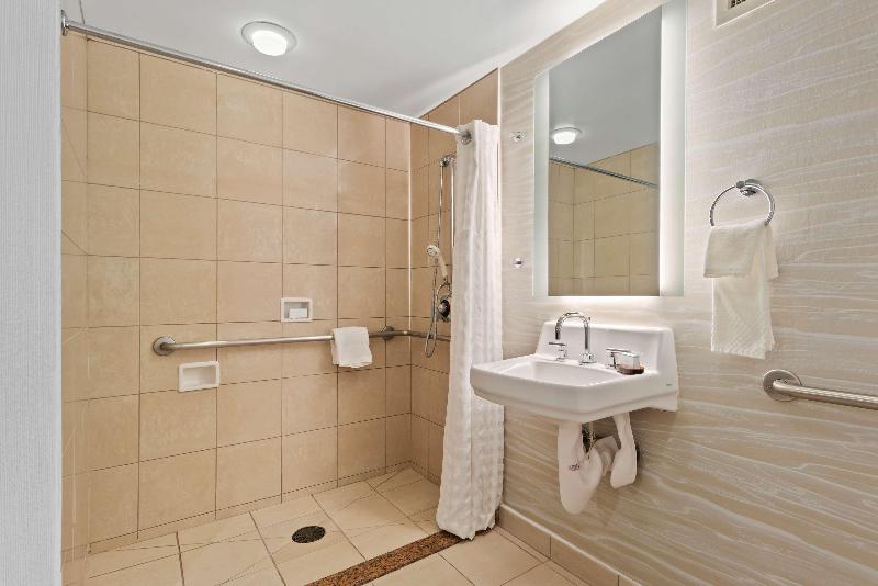 سوئیت با تخت بزرگ, Embassy Suites By Hilton Anaheim South