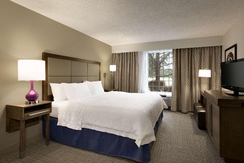 سوئیت با تخت بزرگ, Hampton Inn & Suites Hershey