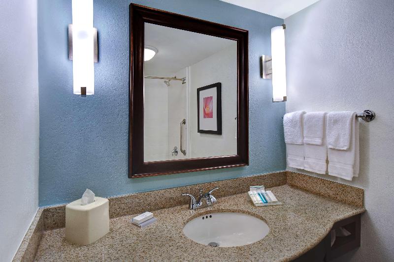 اتاق استاندارد با تخت بزرگ, Hilton Garden Inn Fort Myers