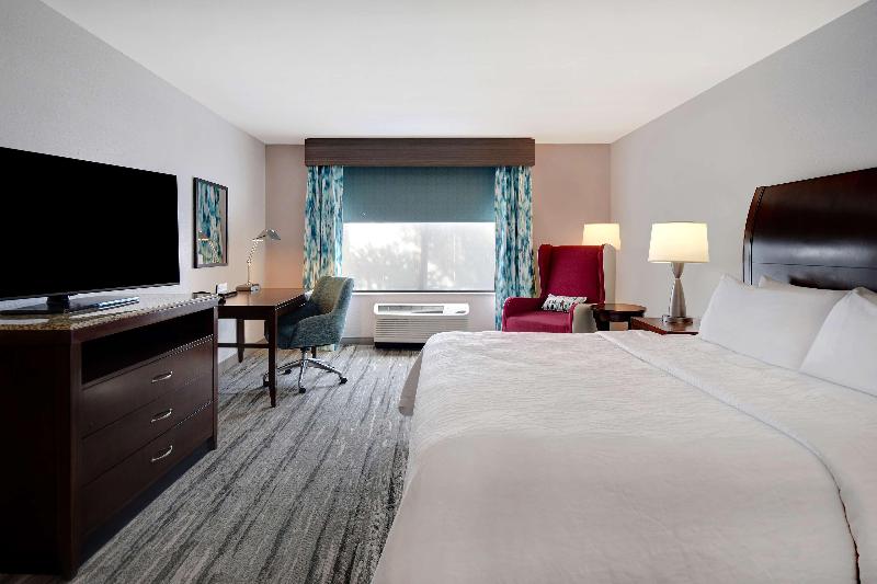 اتاق استاندارد با تخت بزرگ, Hilton Garden Inn Ft Myers
