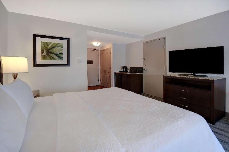 اتاق استاندارد با تخت بزرگ, Hilton Garden Inn Ft Myers