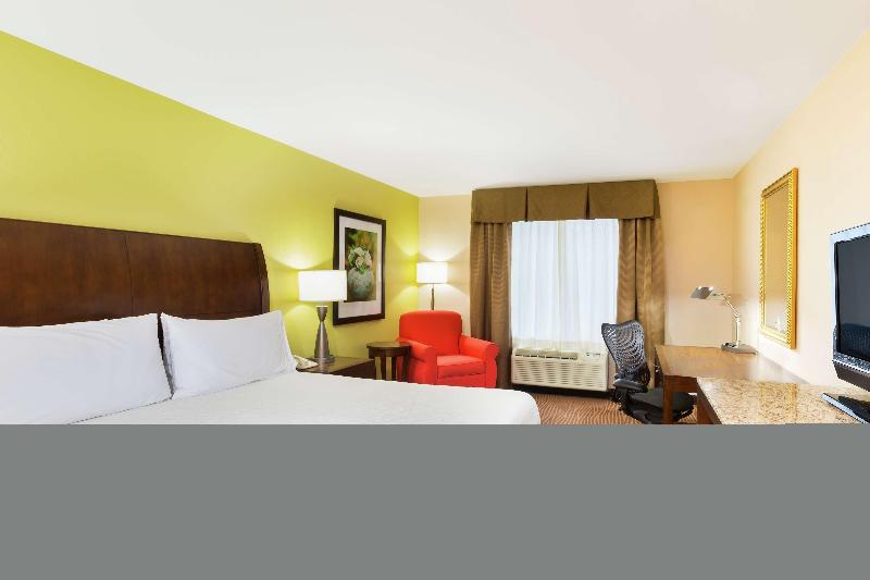 اتاق استاندارد با تخت بزرگ, Hilton Garden Inn Ft Myers