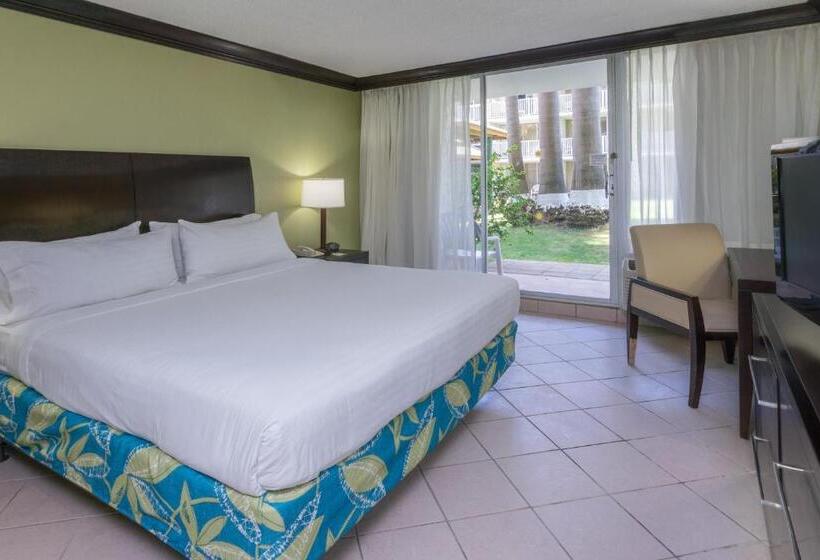 اتاق استاندارد با تخت بزرگ, Holiday Inn Resort Montego Bay All Inclusive