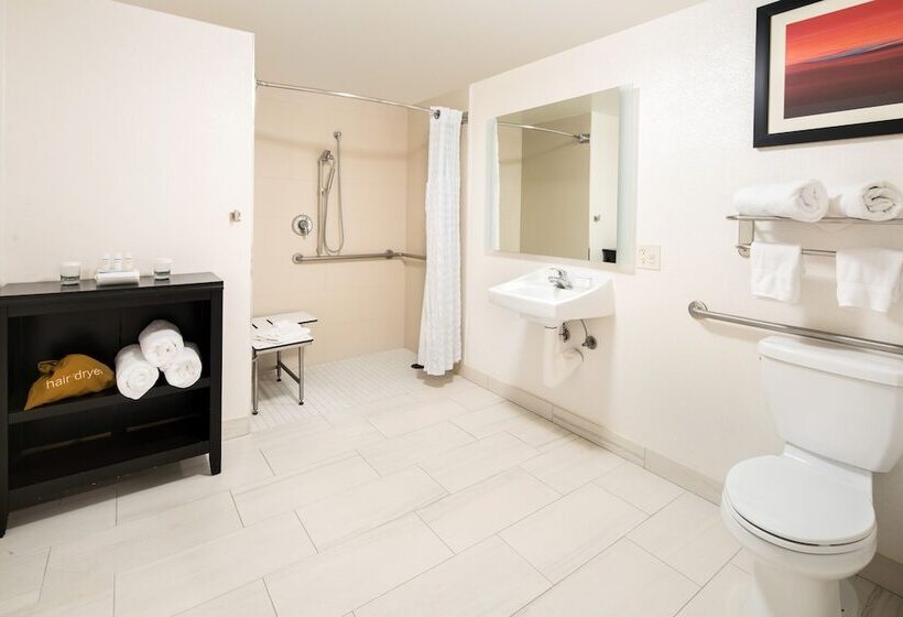سوئیت برای معلولان, Homewood Suites By Hilton Anaheimmain Gate Area