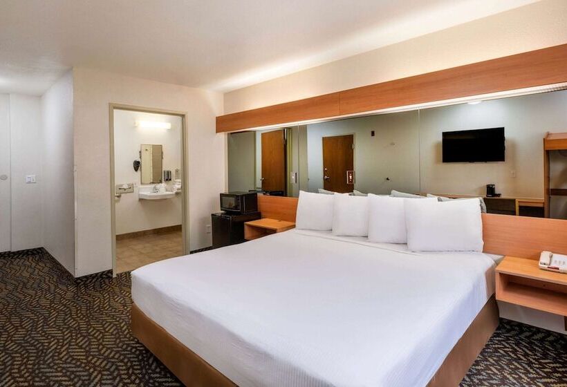 اتاق استاندارد با تخت بزرگ برای معلولان, Microtel Inn & Suites By Wyndham Salt Lake City Airport