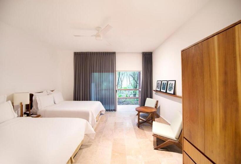 חדר סטנדרט, The Explorean Cozumel - All Inclusive