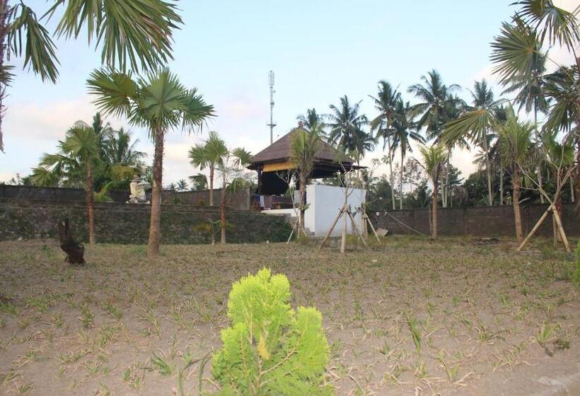 سوییت, Dong Loka Guesthouse Bali