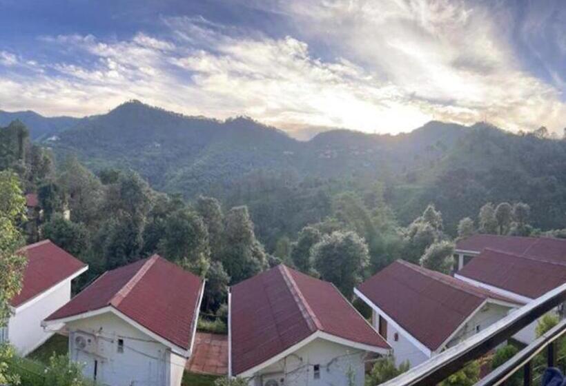 سوئیت پرزیدنت, Skywood Resort Shoghi