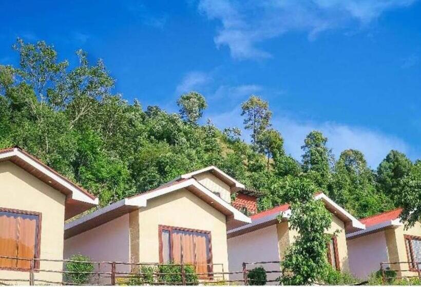 سوئیت پرزیدنت, Skywood Resort Shoghi