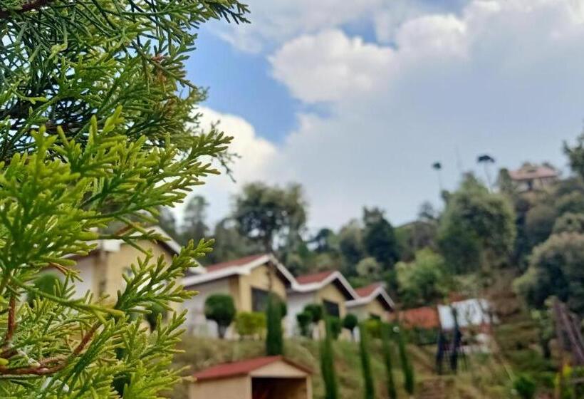 سوئیت پرزیدنت, Skywood Resort Shoghi