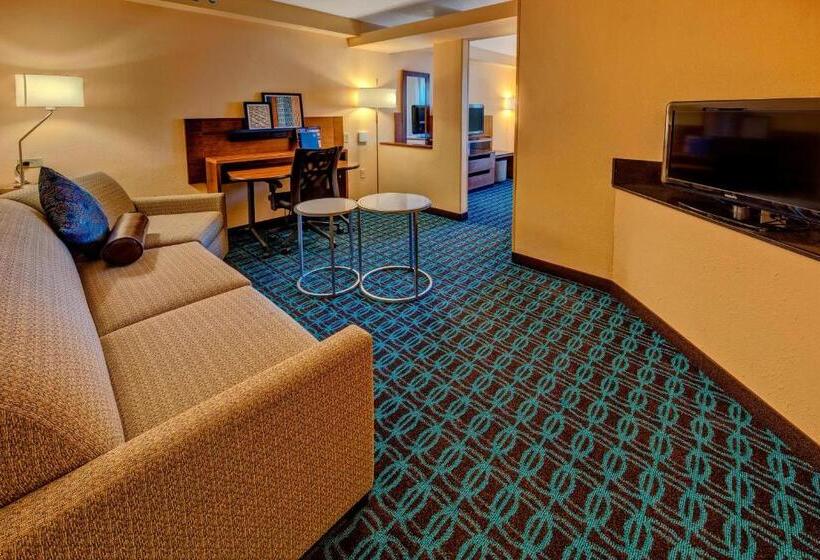 استودیو استاندارد با تخت کینگ, Fairfield Inn And Suites By Marriott Orlando Near Universal Orlando