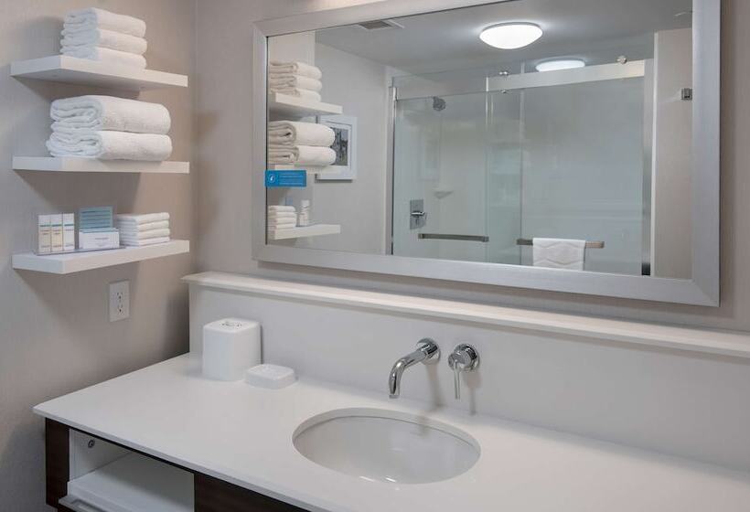 Habitació Estàndard 2 Llits Matrimoni, Hampton Inn Bostonlogan Airport