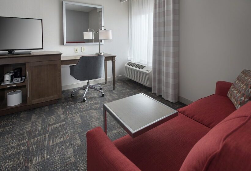 Habitació Estàndard 2 Llits Matrimoni, Hampton Inn Bostonlogan Airport