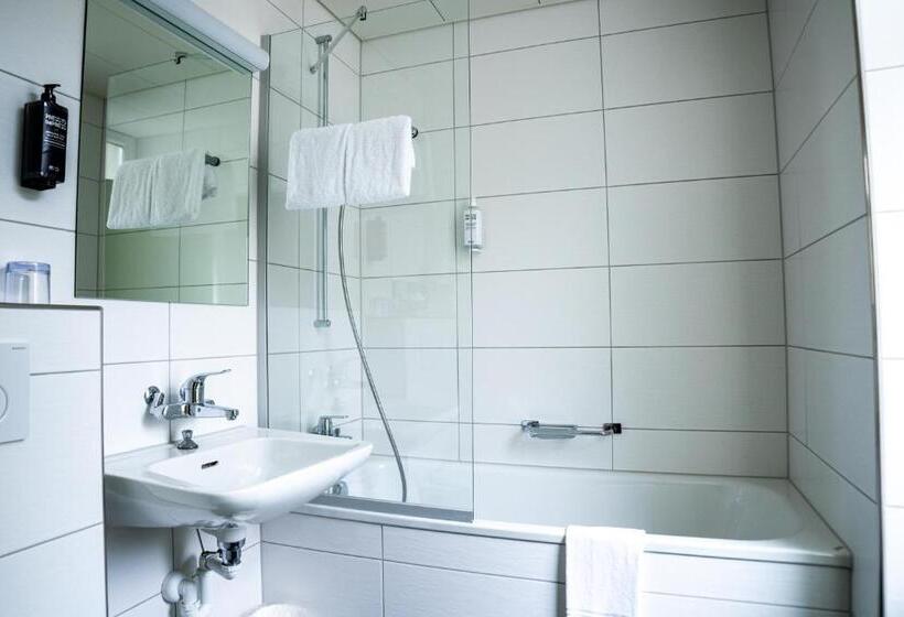 标准间, Ibis Styles Luzern