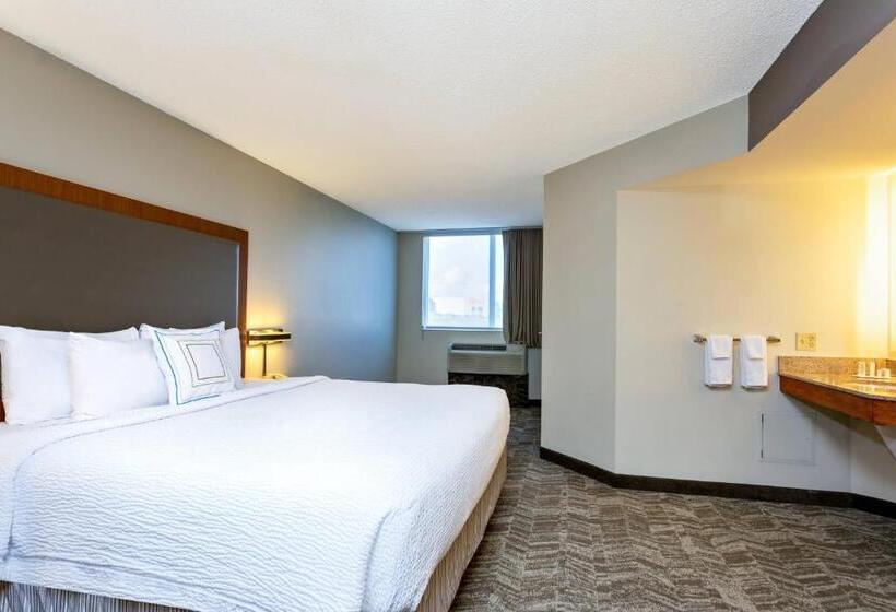 سوئیت با تخت بزرگ, Springhill Suites By Marriott Miami Airport South Blue Lagoon Area