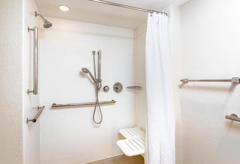 سوئیت با تخت بزرگ, Springhill Suites By Marriott Miami Airport South Blue Lagoon Area