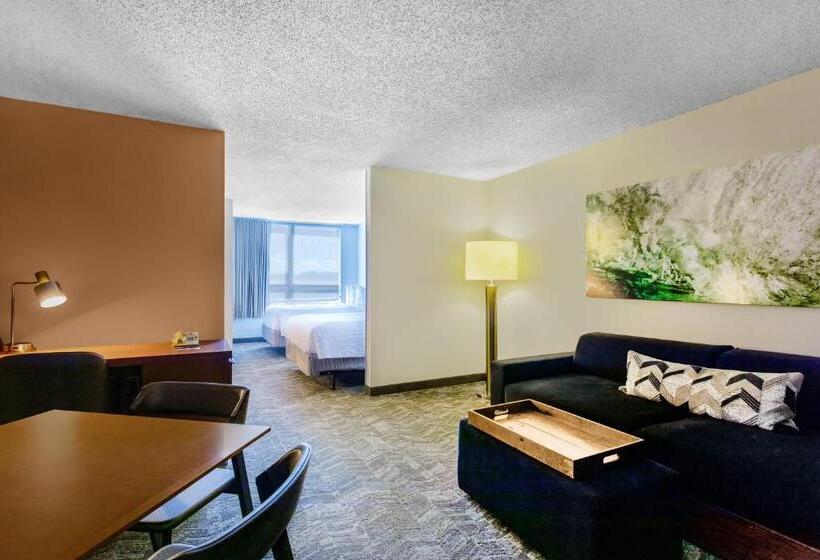 سوییت, Springhill Suites By Marriott Miami Airport South Blue Lagoon Area