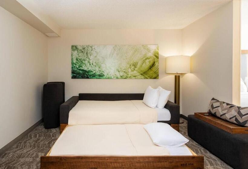 سوییت اجرایی, Springhill Suites By Marriott Miami Airport South Blue Lagoon Area
