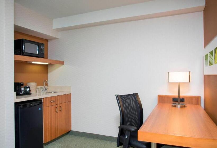 استودیوی استاندارد, Springhill Suites By Marriott Peoria