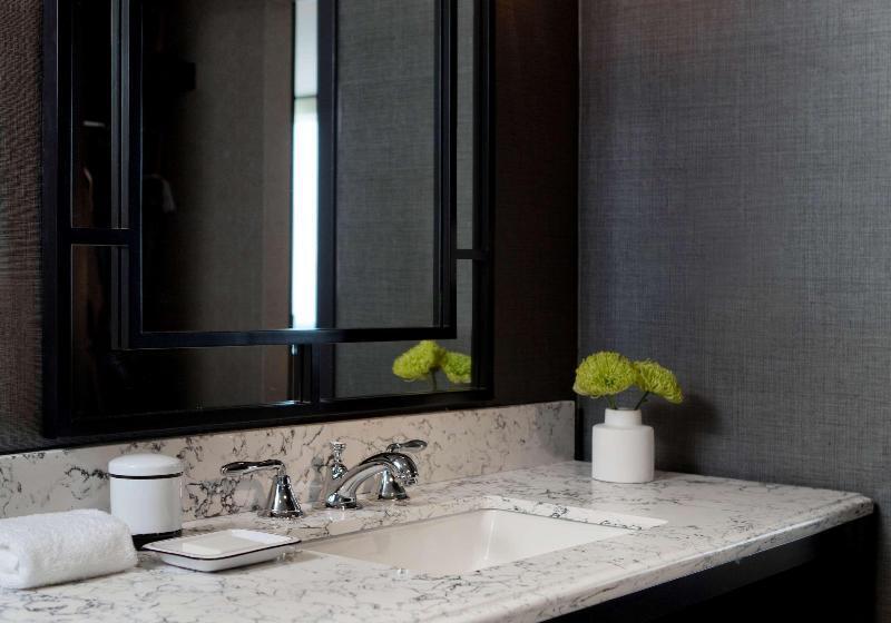 اتاق استاندارد با تخت بزرگ, Viceroy Washington Dc