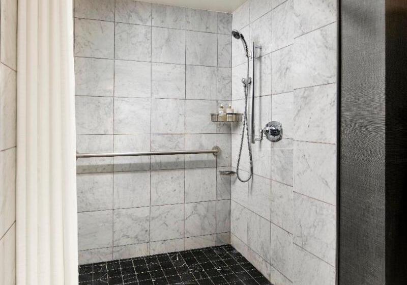 اتاق استاندارد با تخت بزرگ, Viceroy Washington Dc