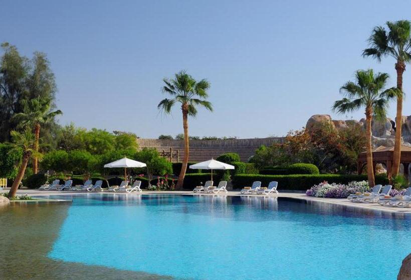 اتاق استاندارد با تخت بزرگ, Naama Bay Promenade Beach Resort Managed By Accor