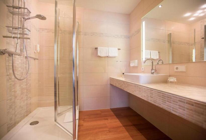 اتاق استاندارد, Flair Hotel Adlerbad