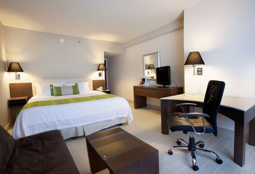 اتاق استاندارد, Holiday Inn Puebla La Noria