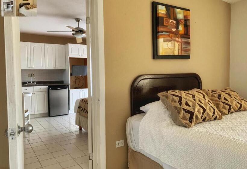 اتاق استاندارد با چشم‌انداز استخر, Santa Fe Los Cabos By Villa Group