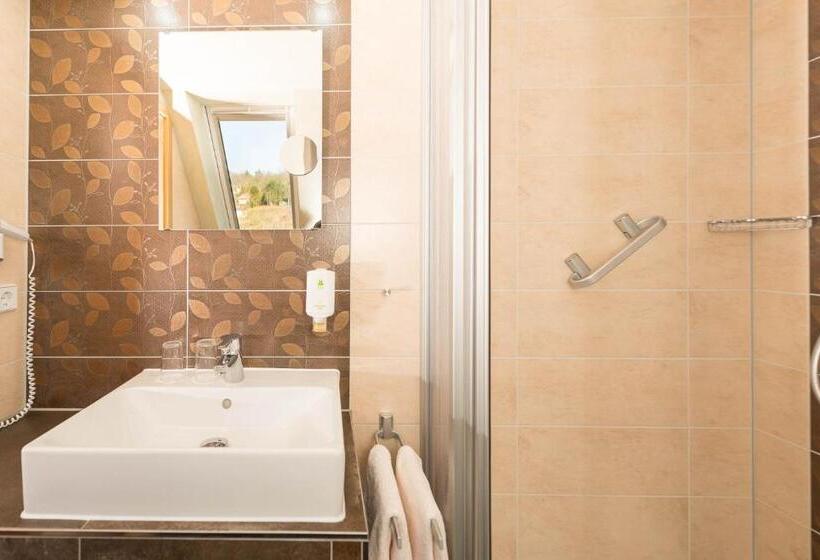 اتاق استاندارد, Flair Hotel Villa Ilske