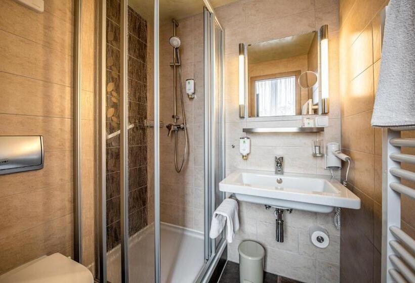 اتاق استاندارد, Flair Hotel Villa Ilske