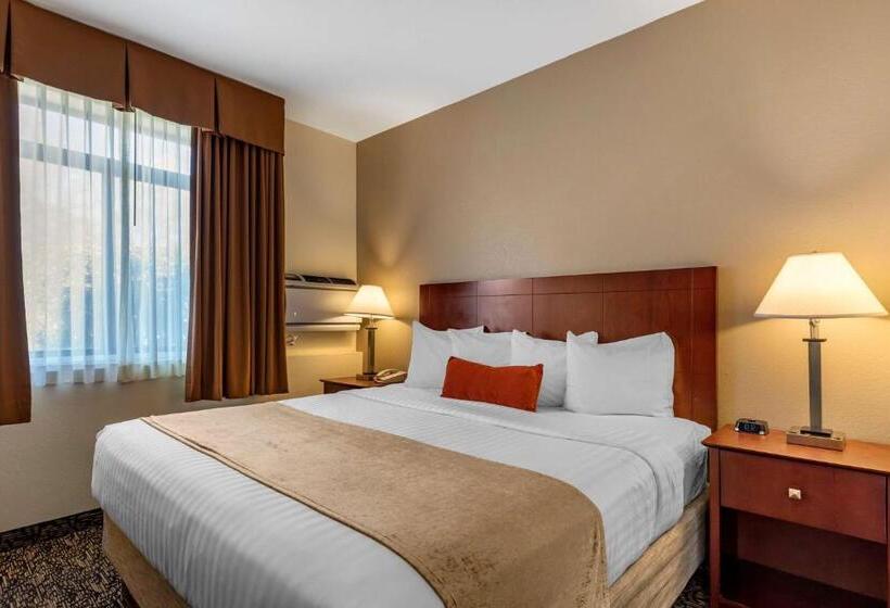 اتاق استاندارد با تخت بزرگ برای معلولان, Best Western Plus Boulder Louisville