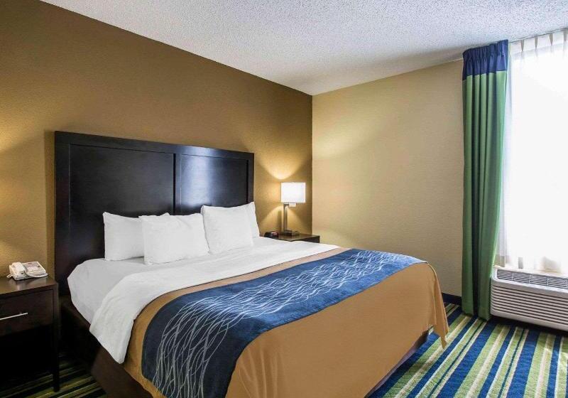 سوئیت با تخت بزرگ, Comfort Inn & Suites Lantana   West Palm Beach South