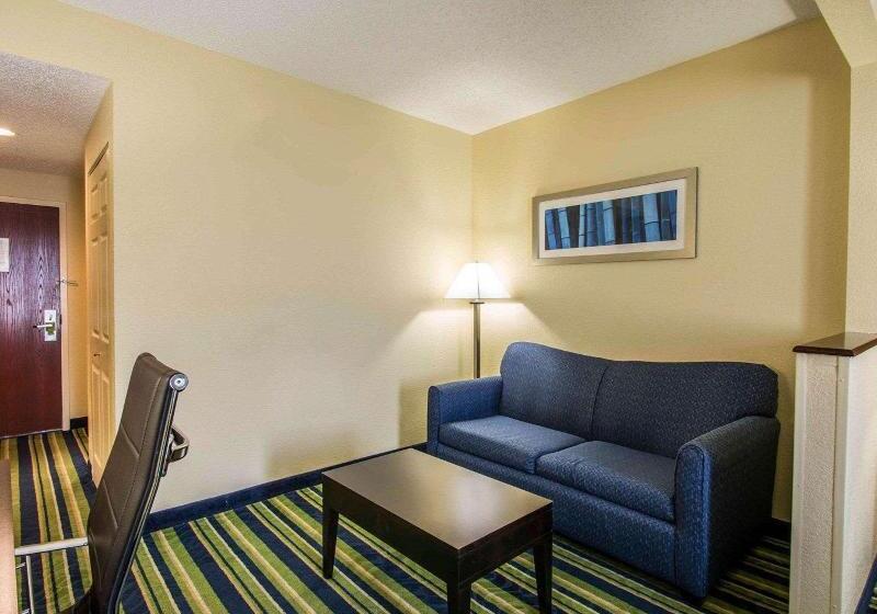 سوئیت با تخت بزرگ, Comfort Inn & Suites Lantana   West Palm Beach South