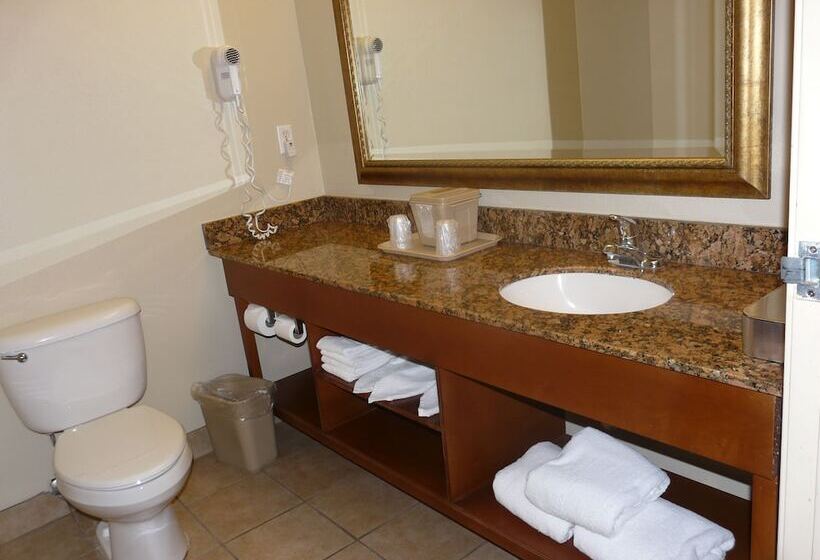 اتاق استاندارد با 2 تخت دوبل, Comfort Inn Fort Myers Northeast