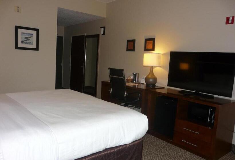 Quarto Estandar Cama King para Deficientes Físicos, Comfort Inn Fort Myers Northeast