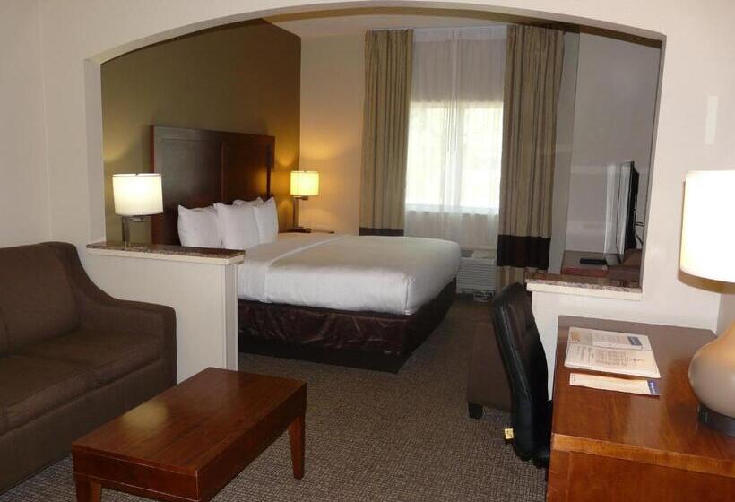 Suite Cama King, Comfort Inn Fort Myers Northeast