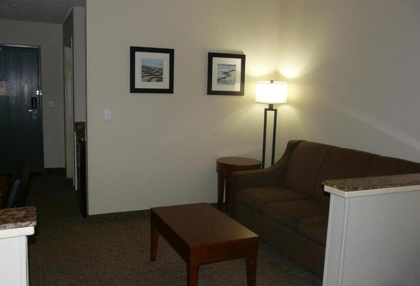 Suite Lit King, Comfort Inn Fort Myers Northeast