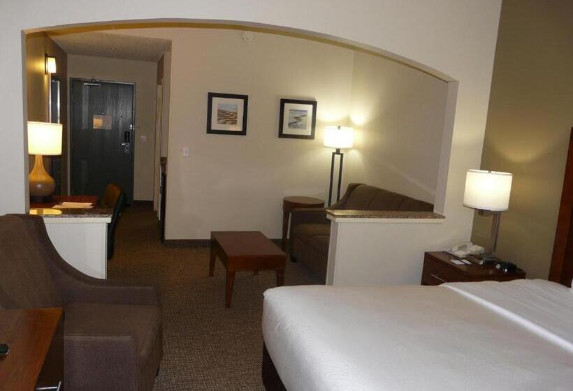 Suite Cama King, Comfort Inn Fort Myers Northeast