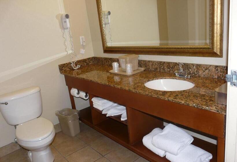 Suite Cama King, Comfort Inn Fort Myers Northeast