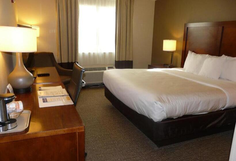 اتاق استاندارد با تخت بزرگ, Comfort Inn Fort Myers Northeast