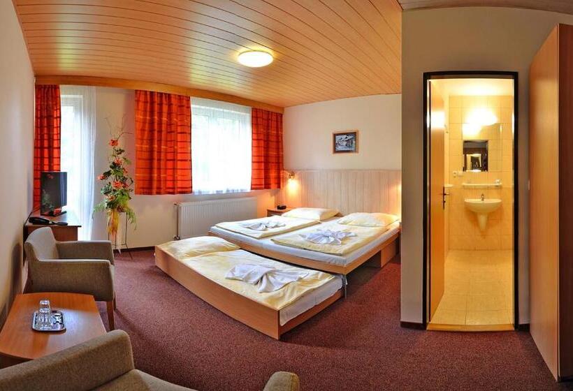 اتاق استاندارد, Horsky Hotel Mnich