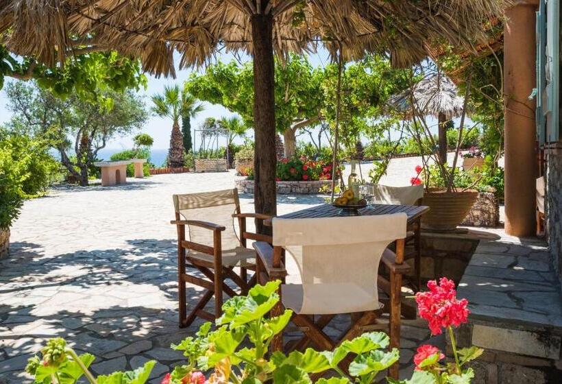 استودیو استاندارد با تخت کینگ, Palaeopoli Villas