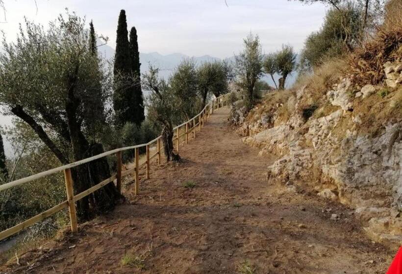 آپارتمان 1 خوابه همکف, Agriturismo Le Anze