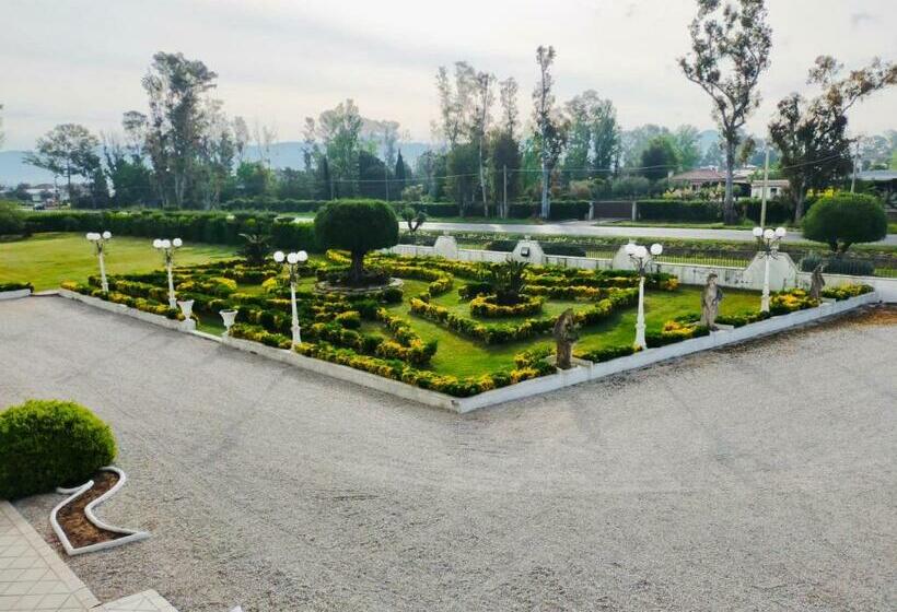 اتاق استاندارد, Gioema