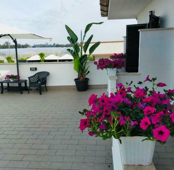 اتاق استاندارد, Gioema