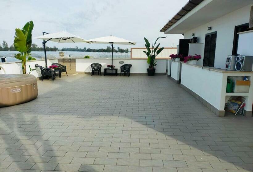 اتاق استاندارد, Gioema