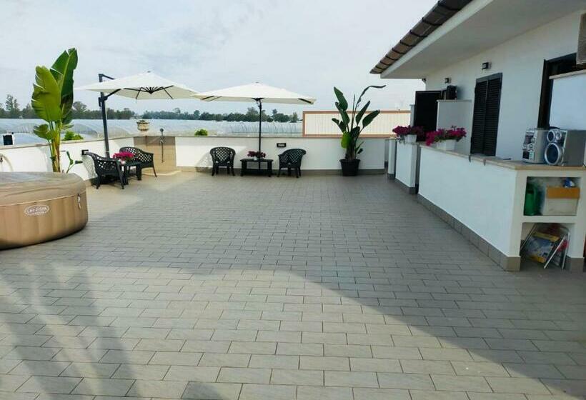 اتاق استاندارد, Gioema