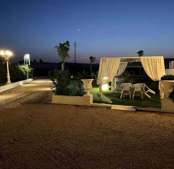 اتاق استاندارد, Gioema